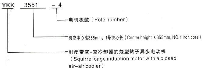 YKK系列(H355-1000)高压YE2-250M-4三相异步电机西安泰富西玛电机型号说明